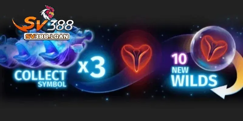 Người chơi nên tìm hiểu kỹ về các loại Wild khác nhau